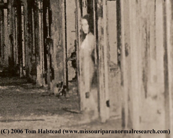 Вейверли Хиллз